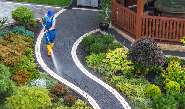 Best Pressure Washing Near Me  in Forestbrook, SC